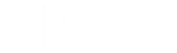CMC strategies logo. Chelsea Minor Carbahal